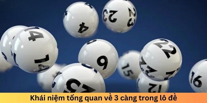 Khái niệm tổng quan về 3 càng trong lô đề