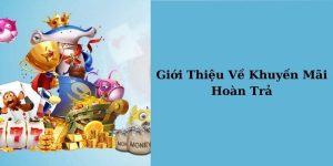 Giới thiệu khuyến mãi hoàn trả khủng kuwin